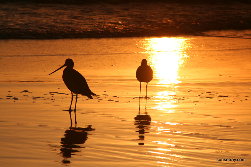 %_tempFileNamesunsetray.com%203-20-2008%2011-03-59%20AM%