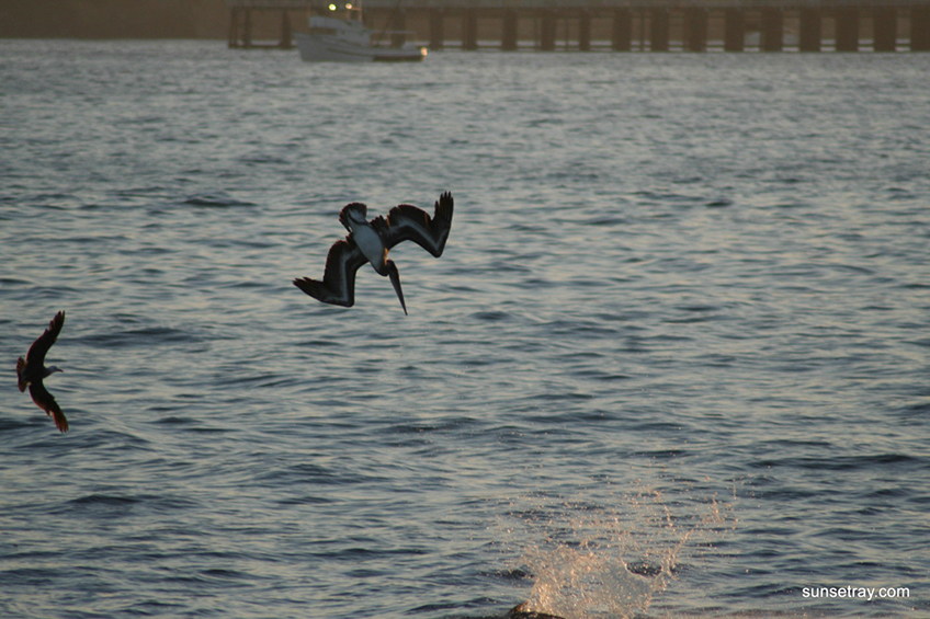 %_tempFileNamesunsetray.com%207-11-2006%2012-05-32%20PM%