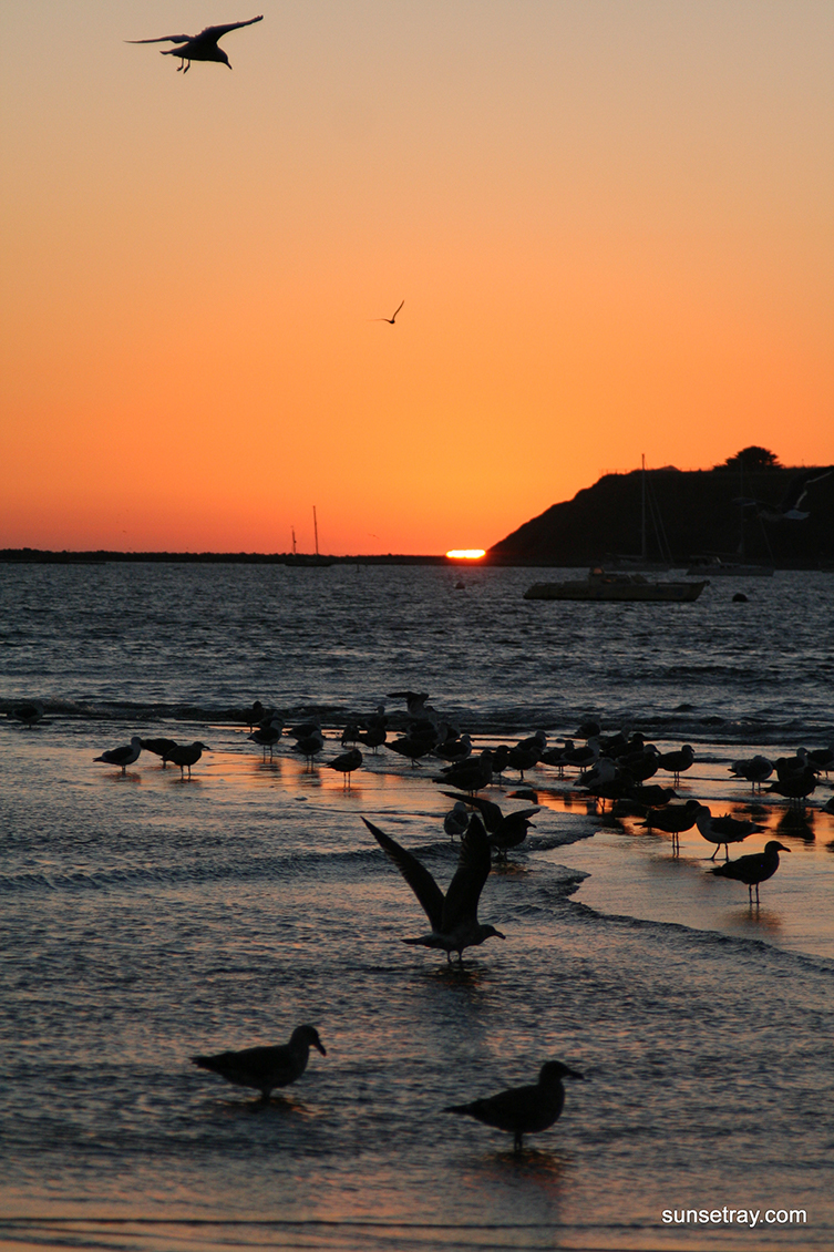 %_tempFileNamesunsetray.com%2010-21-2006%2010-24-20%20AM%