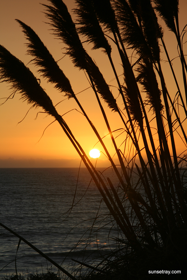 %_tempFileNamesunsetray.com%2010-5-2008%2010-39-31%20AM%