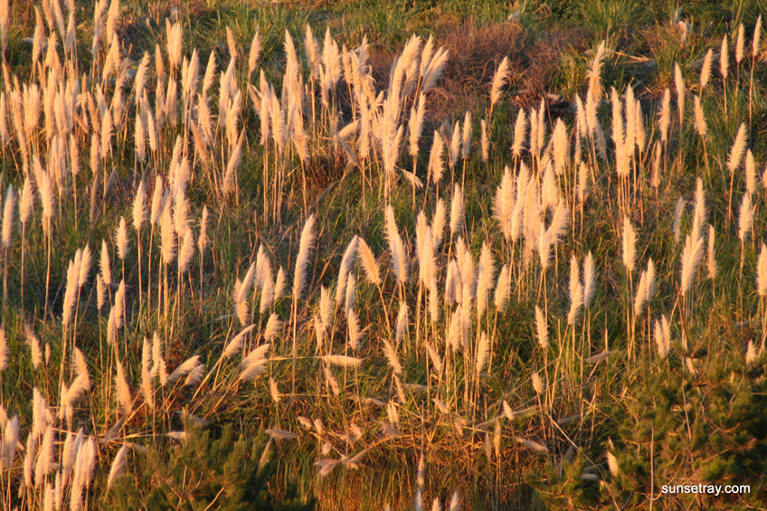 %_tempFileNamesunsetray.com%2012-2-2006%209-36-26%20AM%